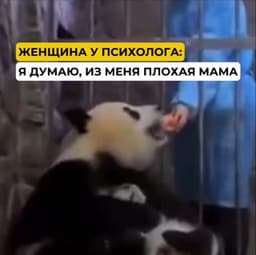 Мне очень смешно с этой панды image preview