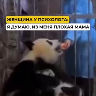 Фотография поста