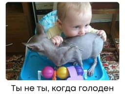 🤤🍳Знаете, почему лучше не спорить с... image preview