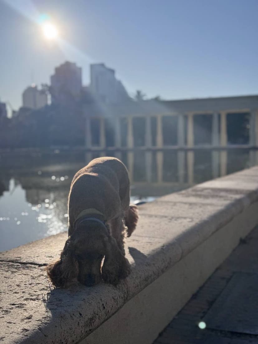 Фотография поста