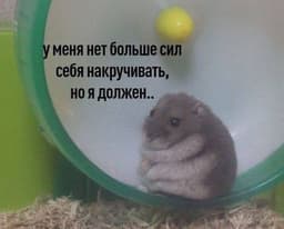 🤣 Внутренний хомяк-перфекционист. image preview