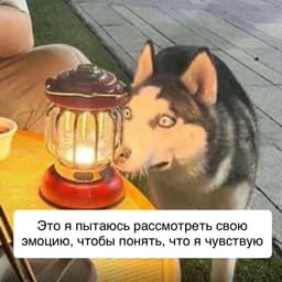 Жизненно? 😄 image preview