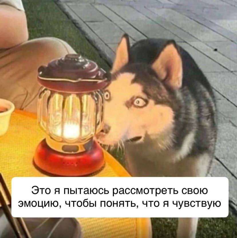 Фотография поста