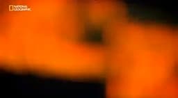 Срочно смотрим!!! image preview