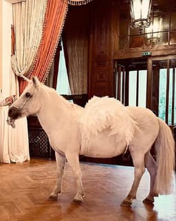 👰🏼‍♀️🤵🏼 Сегодня годовщина.
Нашей с Антоном официальной регистрации. image preview