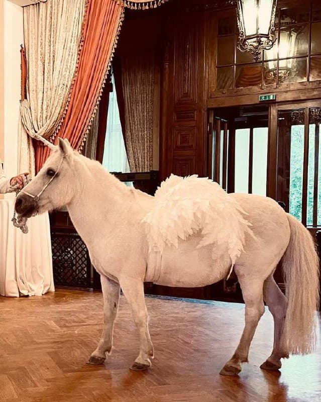 Фотография поста