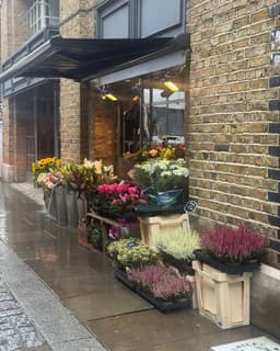 Иногда нужно заболеть, чтобы что-то понять. image preview