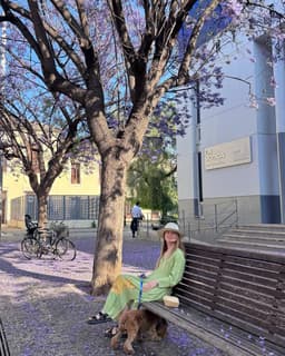 😍🎁 Распродажа моих программ по телесной психологии! image preview