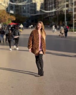 31 декабря в полночь карета НЕ превратится в тыкву. image preview