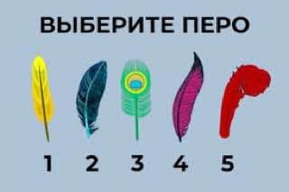 Фотография поста