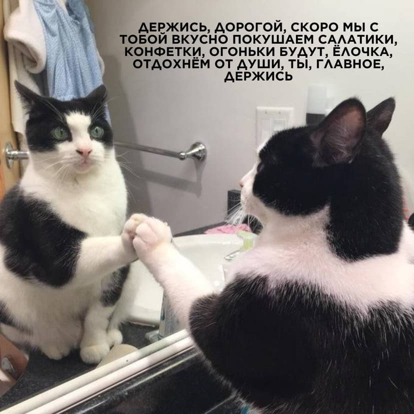 Фотография поста