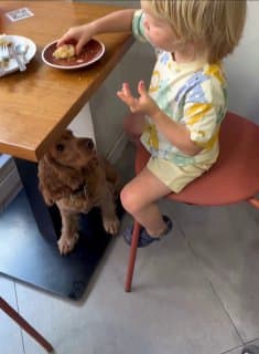 Фотография поста