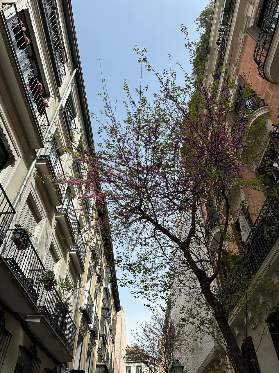 Отпуск, который перевернул всё image preview