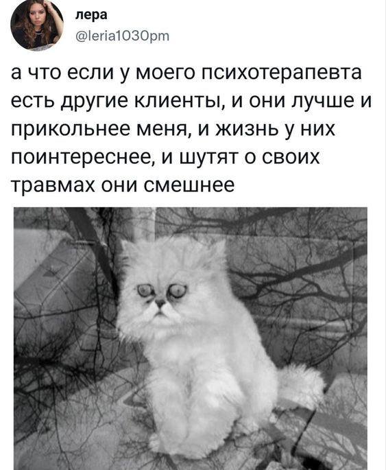 😅😭Было? image preview