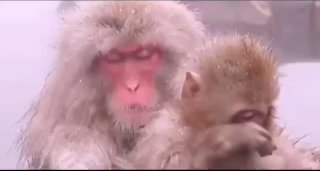 Фотография поста