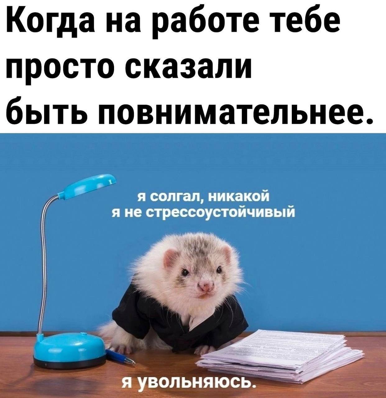 Жизненно!!! 😜🤣 image preview