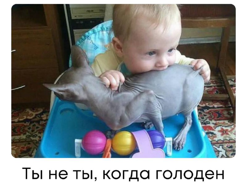 Фотография поста