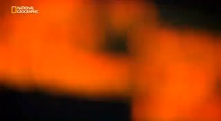 Срочно смотрим!!! image preview