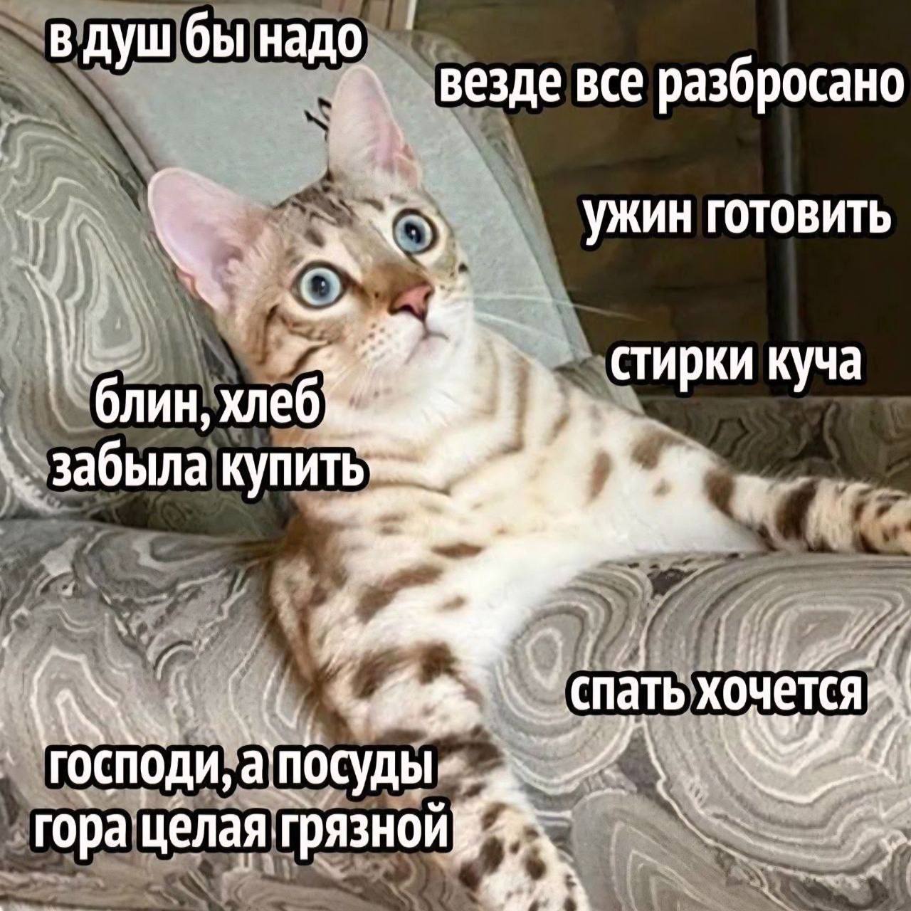 Особенно актуально в пятницу, да? image preview