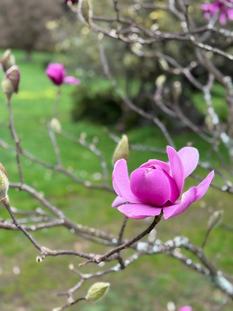 Фотография поста