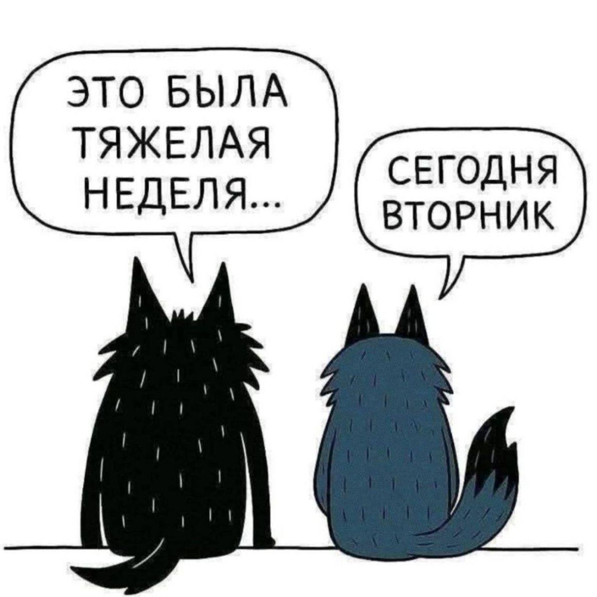 Фотография поста