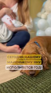 Этот обаятельный белокурый парень уже вовсю... image preview