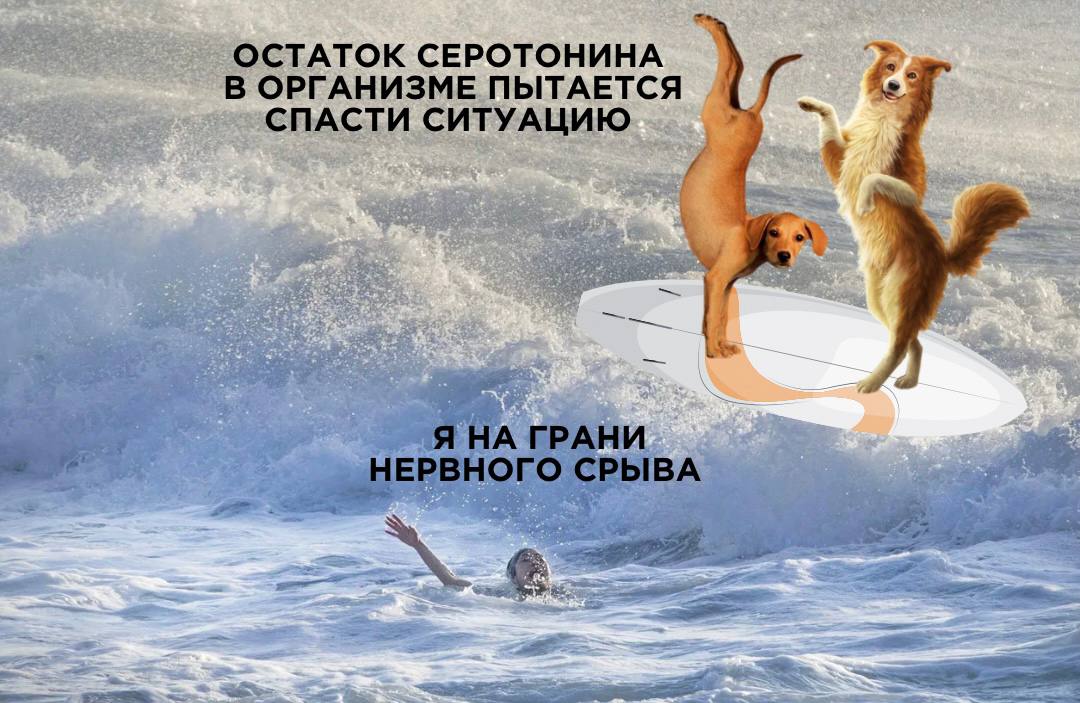 Фотография поста