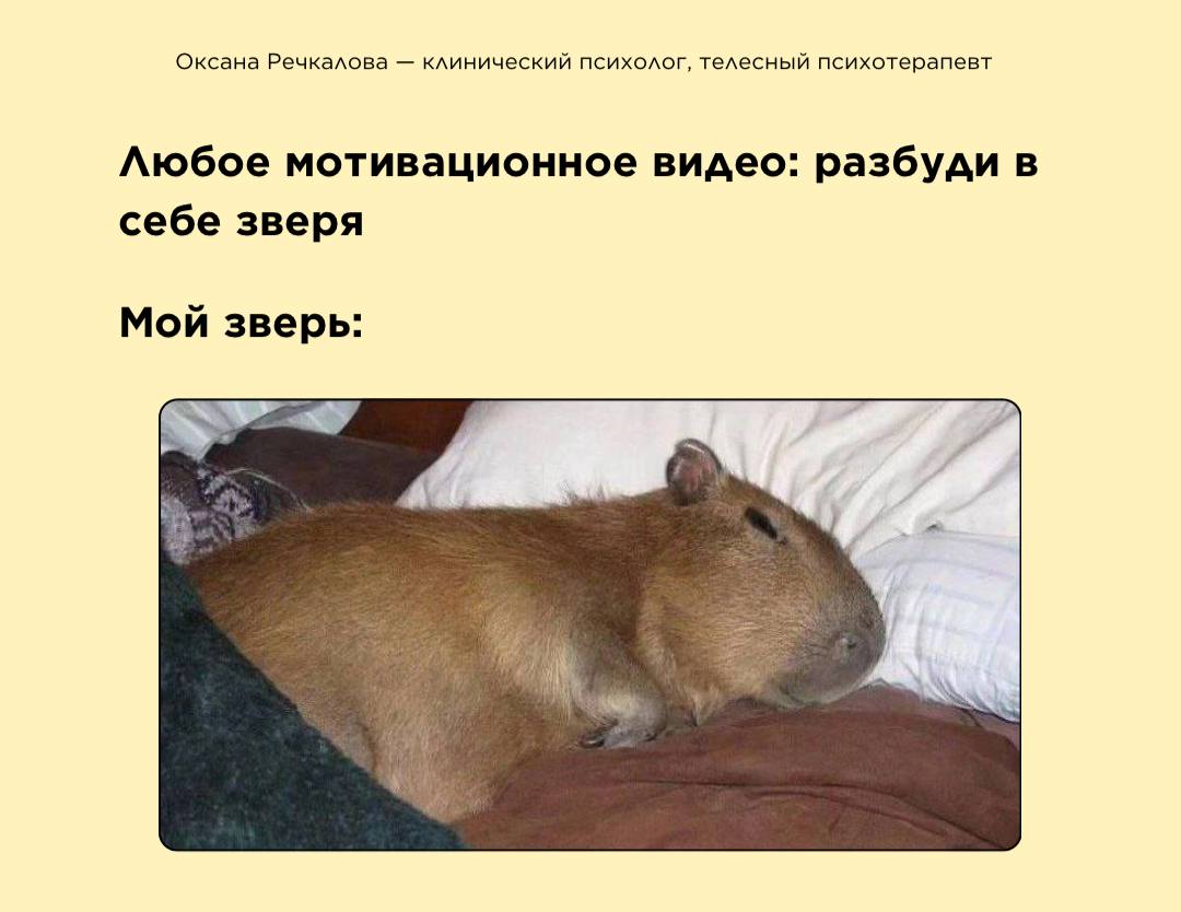 А КАКОЙ У ВАС ЗВЕРЬ? image preview
